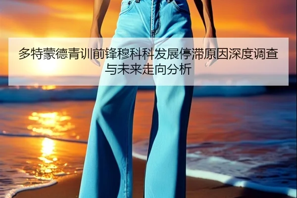 多特蒙德青训前锋穆科科发展停滞原因深度调查与未来走向分析