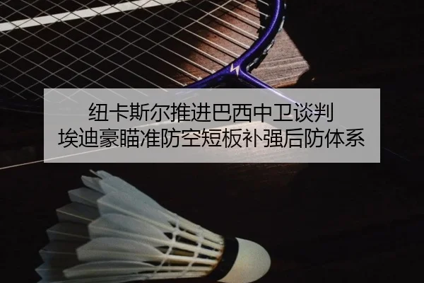 纽卡斯尔推进巴西中卫谈判 埃迪豪瞄准防空短板补强后防体系